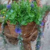 گل شمشاد سبذی|گل مصنوعی|تهران, تهرانسر شرقی|دیوار