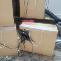 پاکت مناسبتی کرافت