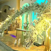 تشریفات ، راهرو و جایگاه عروس با دیجی دایان