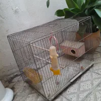 قفس پرنده با لوازم