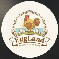 پخش تخم مرغ محلی|خوردنی و آشامیدنی|تهران, شمیران‌نو|دیوار