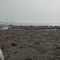 شمال بندر انزلی