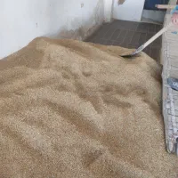 برنج محلی دره شهر|خوردنی و آشامیدنی|دهلران, |دیوار