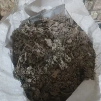 کود مرغ محلی