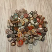 90عدد باباقوری