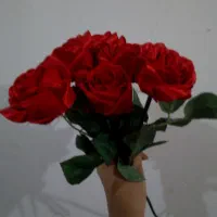 پول ارایی.|گل مصنوعی|خرمشهر, |دیوار