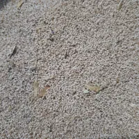 توم درجه یک قیمت 450