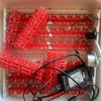 دستگاه جوجه کشی ایزی باتور ۱|لوازم جانبی حیوانات|مبارکه, |دیوار