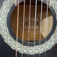 فروش گیتار|گیتار، بیس، امپلیفایر|یزد, |دیوار