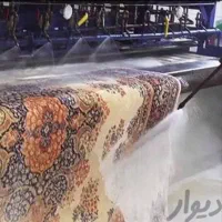 قالیشویی قالی شویی مشهد نگین عضو درجه یک اتحادیه