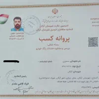 کارشناسی خودرو سیار و ثابت ( تشخیص رنگ )