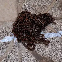 وسایل ماشین|قطعات یدکی و لوازم جانبی|کرمانشاه, |دیوار