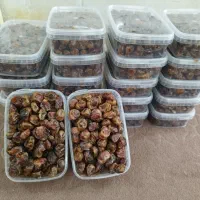 خرما برحی|عمده‌فروشی|تفت, |دیوار