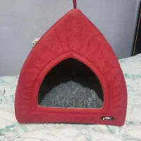 لانه گربه ، سگ