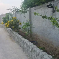 نگهبانی و باغبانی|استخدام سرایداری و نظافت|بندر گناوه, |دیوار