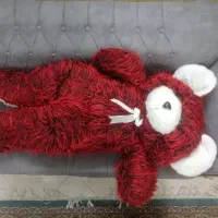 خرس بزرگ ولنتاین نو نو|اسباب‌بازی بچه|ری, شهادت|دیوار