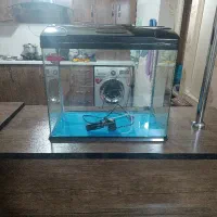 آکواریوم مکانیزه همه چی تمومه آکوا همراه با کارتن