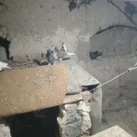مژدگانی سکه پارسیان هرکی پیدا کنه