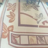 ۲عدد گلیم فرش یکی ۹متری یکی ۶متری درحدنو تمیز|فرش|فولادشهر, B2|دیوار