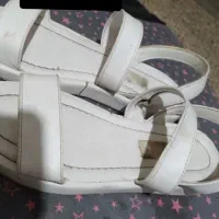 کیف و کفش
