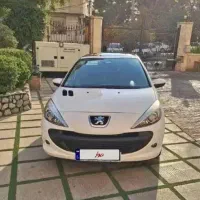 207پانا مدل 99 سالم و بیرنگ