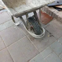 فرعون