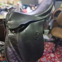 زین المانی