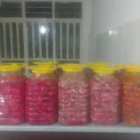 انواع ترشی خانگی|خوردنی و آشامیدنی|پاکدشت, پاکدشت (مامازند)|دیوار