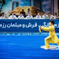 آموزش ووشو|خدمات آموزشی|قزوین, |دیوار