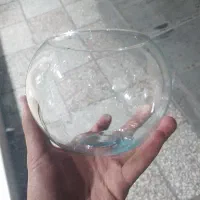 تعداد ۸ عدد تنگ ماهی یک جا فروخته میشود