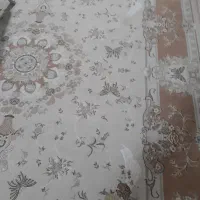 فرش 9متری|فرش|رشت, جانبازان|دیوار