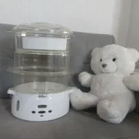 بخار پز فلر