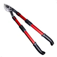 قیچی و اره باغبانی|ابزارآلات|زنجان, |دیوار