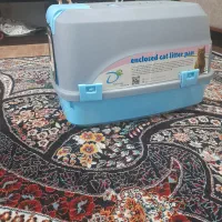 یک عدد گربه نر کاملا دستی و مهربون|گربه|تنکابن, |دیوار