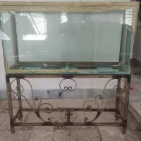 آکواریوم ماهی