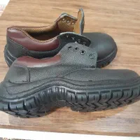 کفش کارایمنی|کیف، کفش، کمربند|رشت, نظری|دیوار