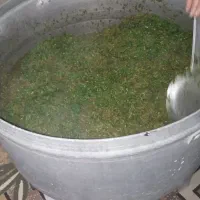 سفارش سبزی قرمه اربعین پذیرفته میشود