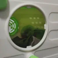 جوجه برزیلی معاوضه