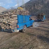 خرید چوب|خدمات باغبانی و درختکاری|نیشابور, خیام|دیوار