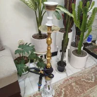 قلیون قلیان