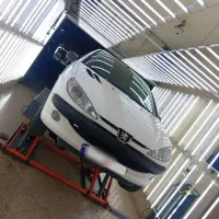 206sdکم کار سفارشی تکی برگ دریچه سیمی