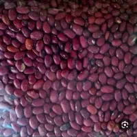 لوبیا قرمز ریز