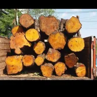 خریدار چوب درخت باغ