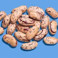 لوبیا چیتی درجه یک