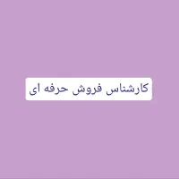 کارشناس فروش حرفه ای