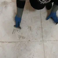 نیروی کار برا نظافت