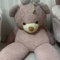 عروسک خرس|اسباب‌‌بازی|رودهن, |دیوار