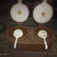 فلاکس دوقلو سالم