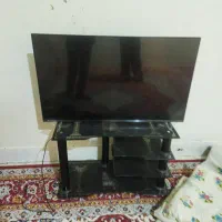 دوو همراه زیر تلویزیون