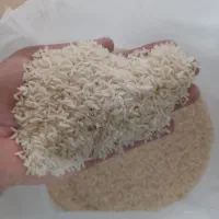 صدری هاشمی درجه یک گیلان